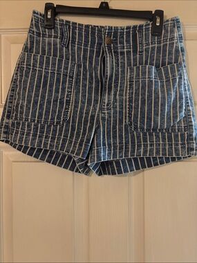 American Eagle Outfitters Blue and White Striped Denim Shorts
